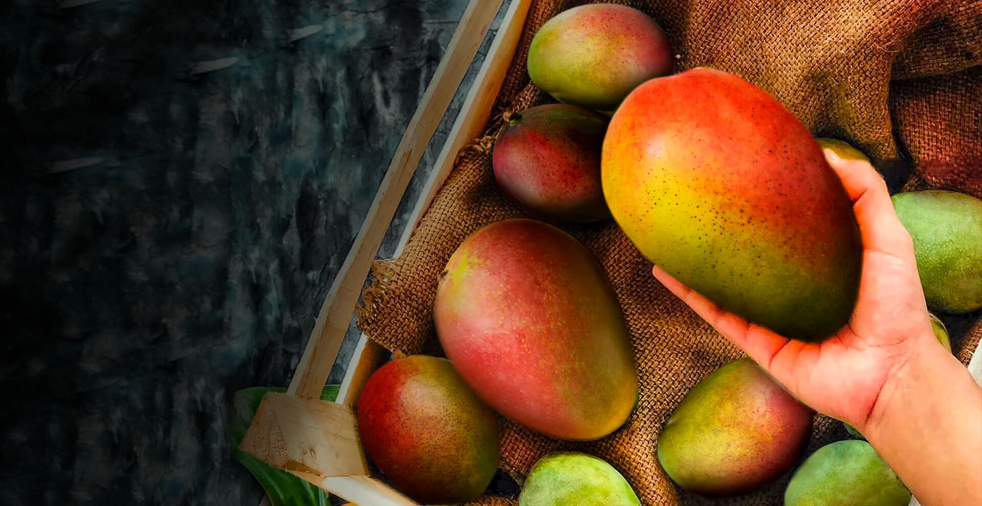 Industria del mango mexicano