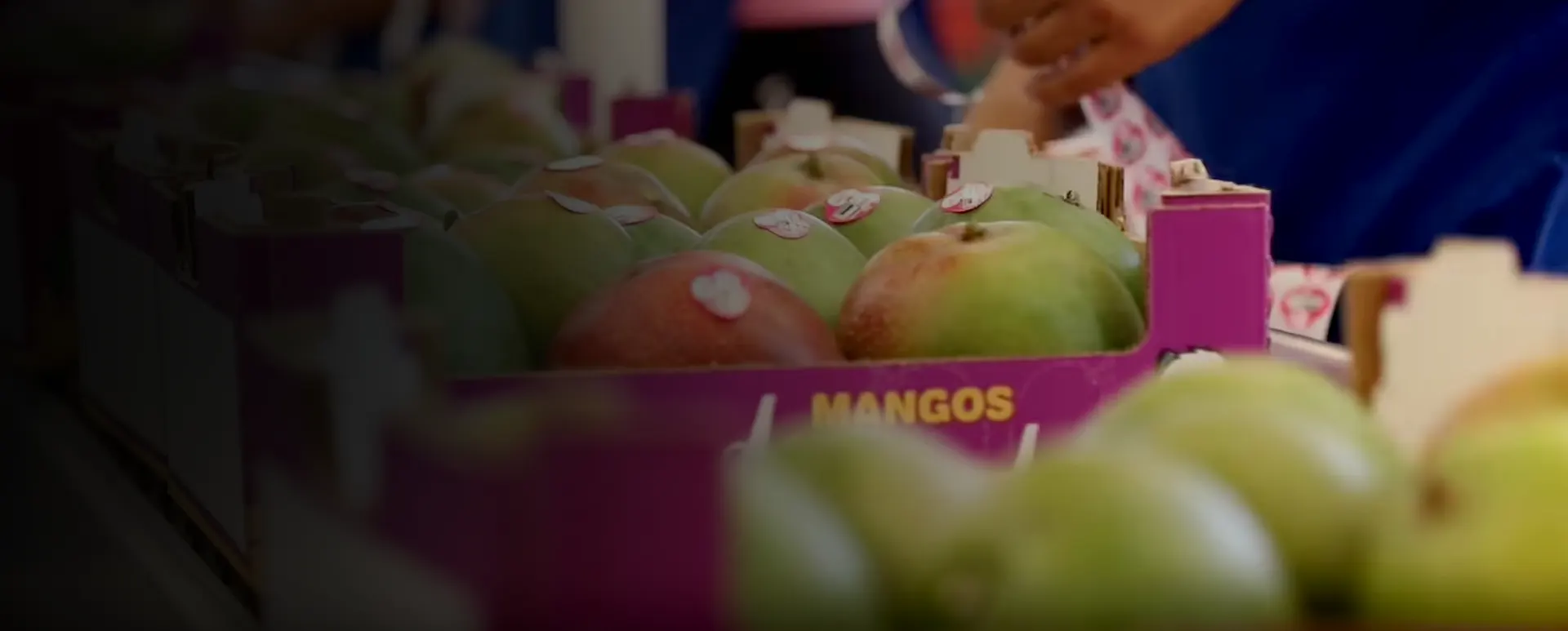 Empacadoras de mango México