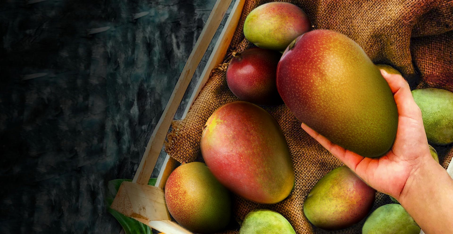 Industria del mango mexicano